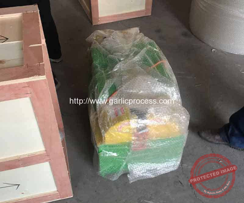 Garlic-Leaf-and-Root-Cutting-Machine-for-Spain-Customer